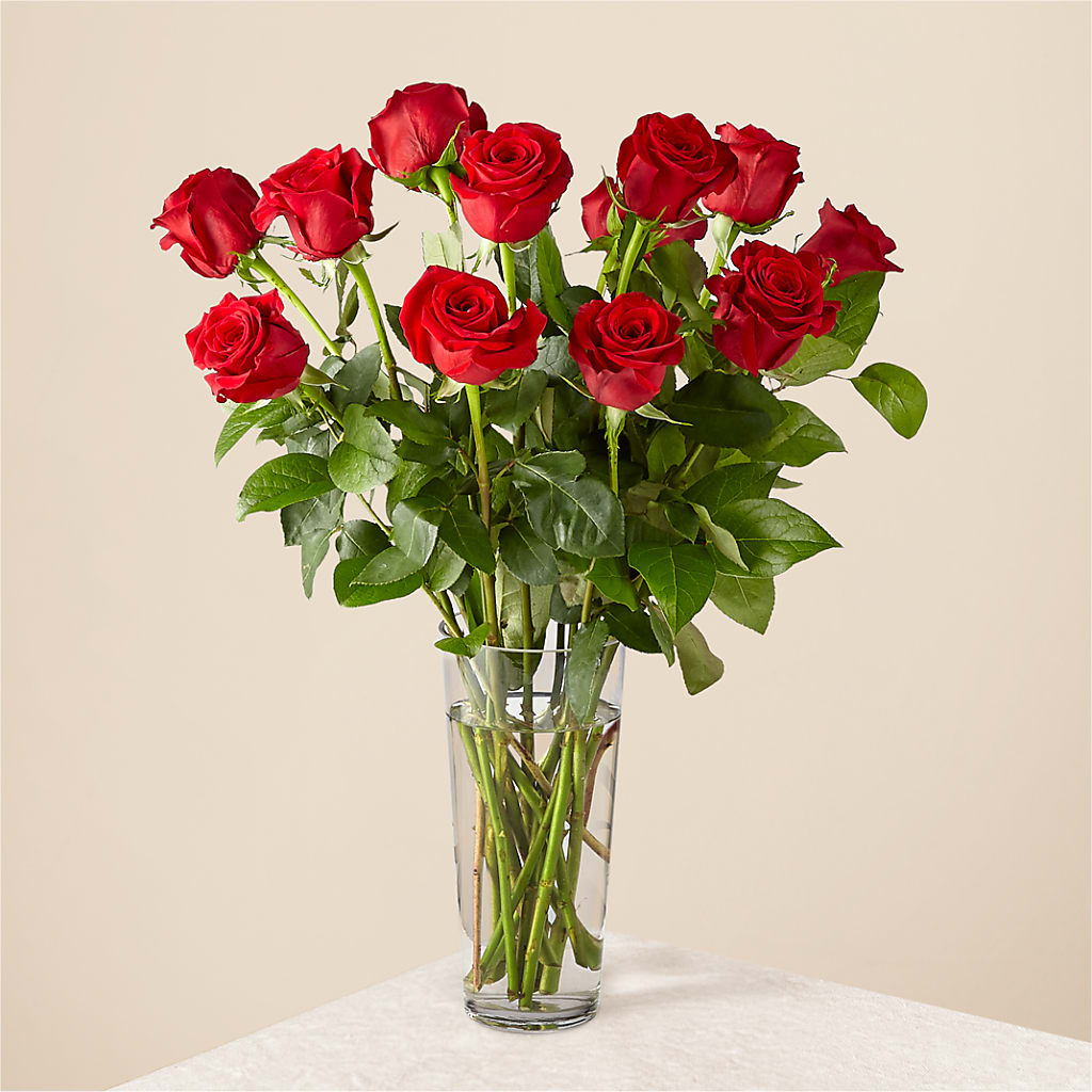 Long Stem Red Rose Bouquet – SHASTA DAISY'S FLORIST & BOUTIQUE, Mobile AL