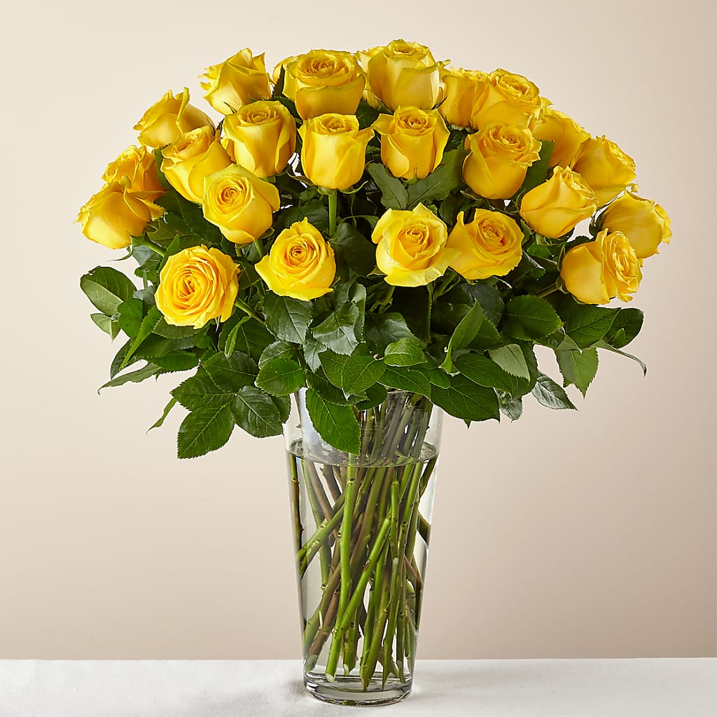 Long Stem Yellow Rose Bouquet – SHASTA DAISY'S FLORIST & BOUTIQUE, Mobile AL