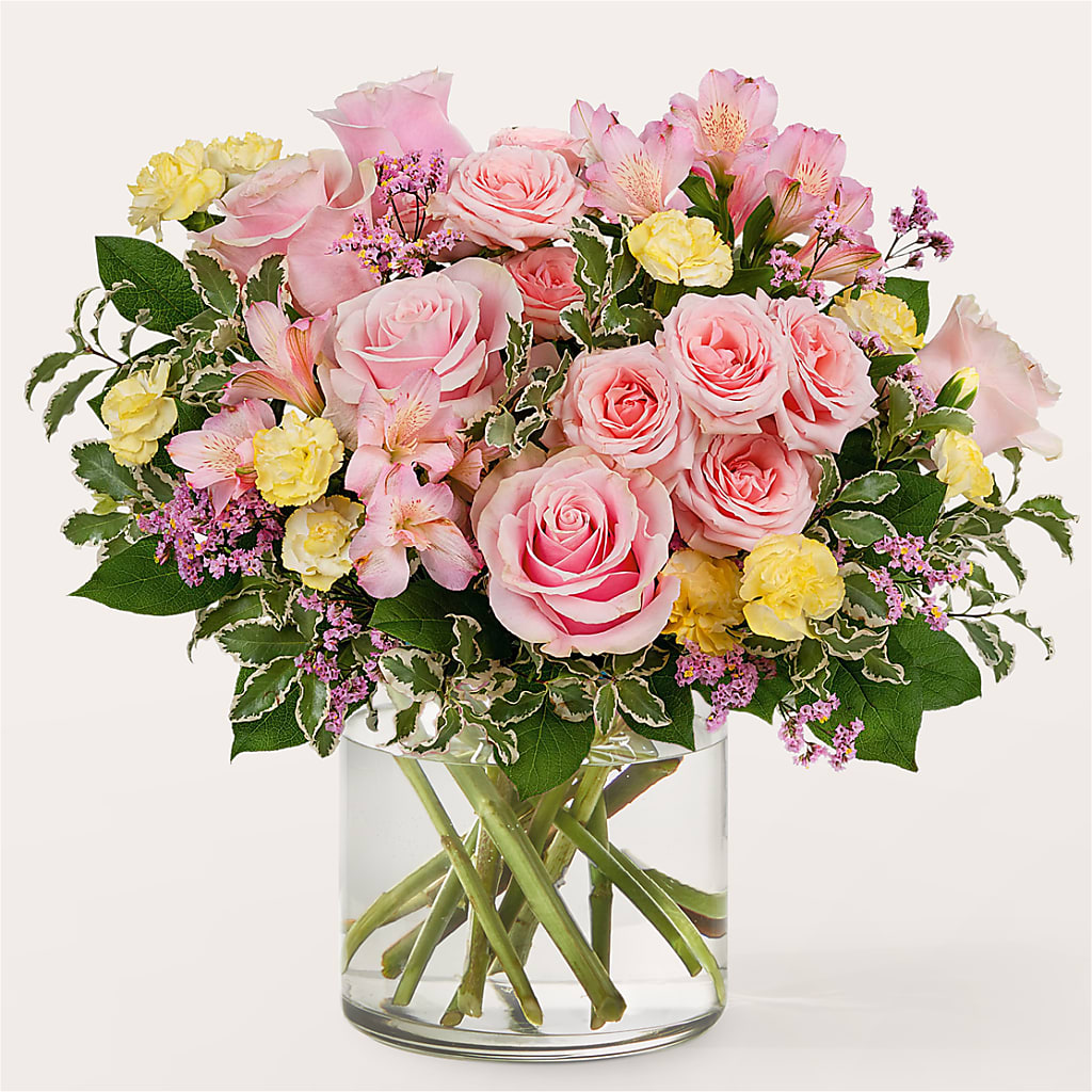 Refreshed Bouquet – SHASTA DAISY'S FLORIST & BOUTIQUE, Mobile AL