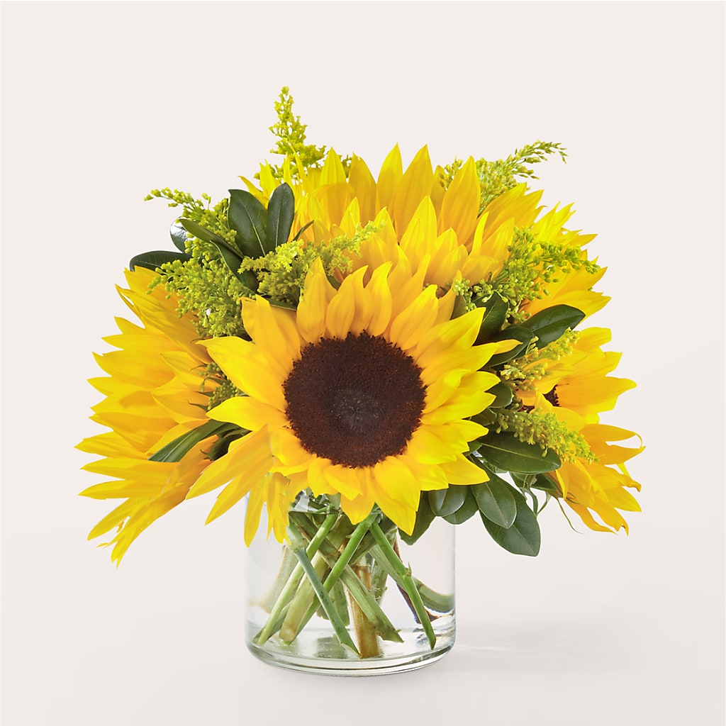 Beaming Sunflower Bouquet – SHASTA DAISY'S FLORIST & BOUTIQUE, Mobile AL