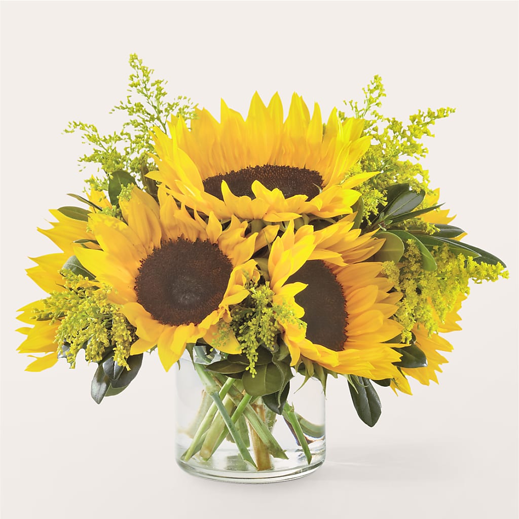 Beaming Sunflower Bouquet – SHASTA DAISY'S FLORIST & BOUTIQUE, Mobile AL