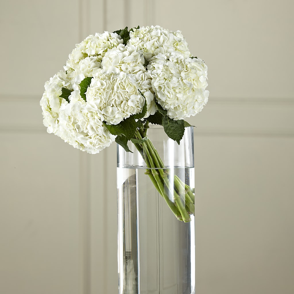 White Hydrangea Hand-Tied Bouquet – SHASTA DAISY'S FLORIST & BOUTIQUE, Mobile AL