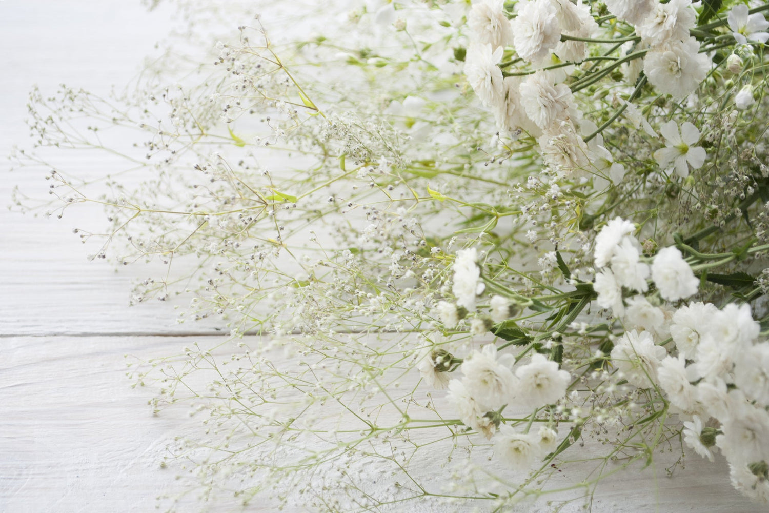 White Flowers