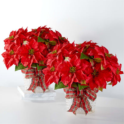 Happiest Holidays Poinsettia Bundle – SHASTA DAISY'S FLORIST & BOUTIQUE, Mobile AL