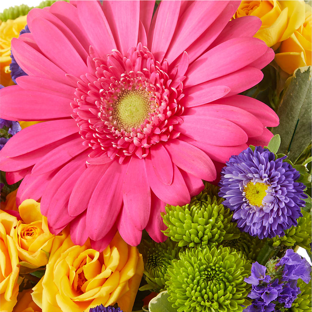 Cheers to You Bouquet – SHASTA DAISY'S FLORIST & BOUTIQUE, Mobile AL