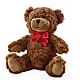 Adorable Plush Bear – SHASTA DAISY'S FLORIST & BOUTIQUE, Mobile AL