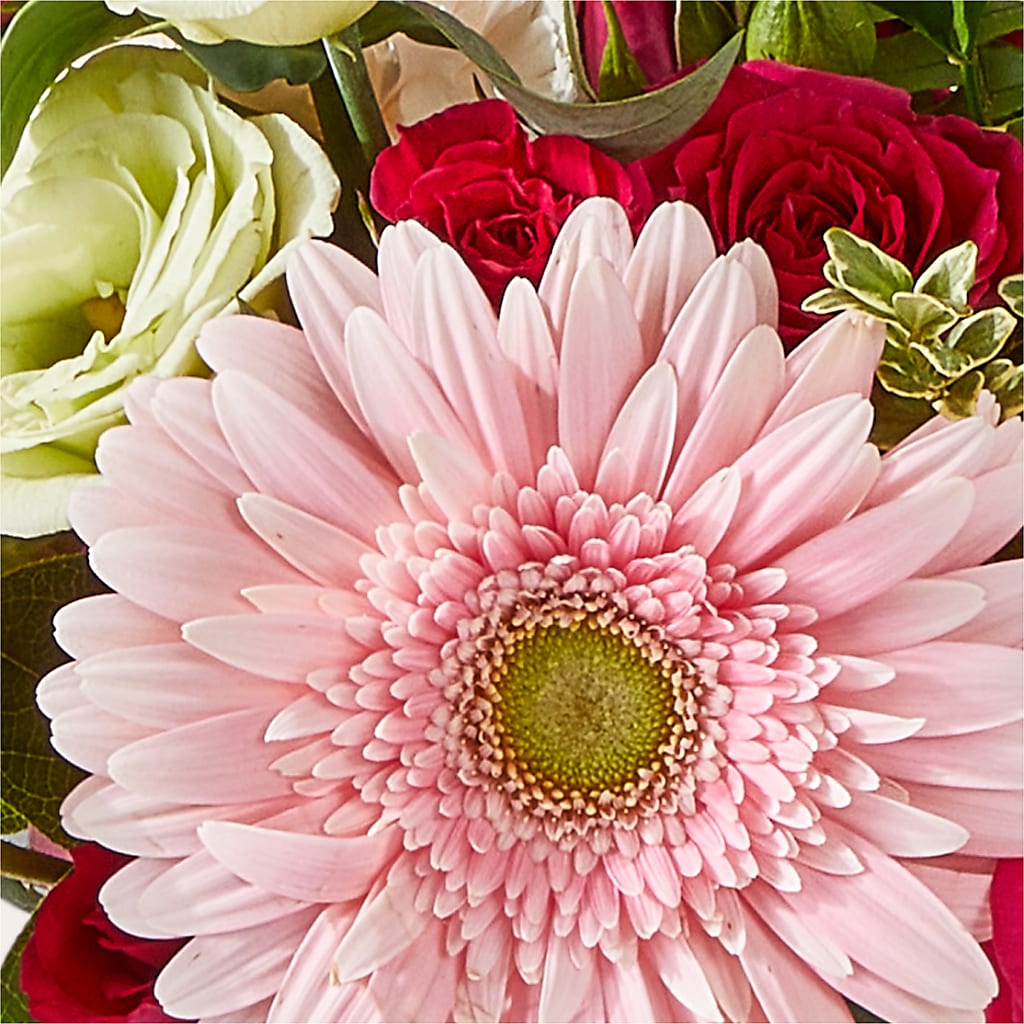 Too Cute Bouquet – SHASTA DAISY'S FLORIST & BOUTIQUE, Mobile AL