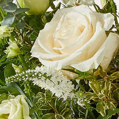 Cashmere Bouquet – SHASTA DAISY'S FLORIST & BOUTIQUE, Mobile AL