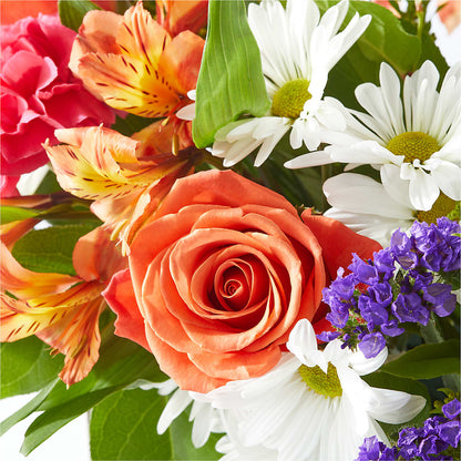 Oopsie Daisy Box Bouquet – SHASTA DAISY'S FLORIST & BOUTIQUE, Mobile AL