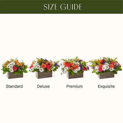 Oopsie Daisy Box Bouquet – SHASTA DAISY'S FLORIST & BOUTIQUE, Mobile AL