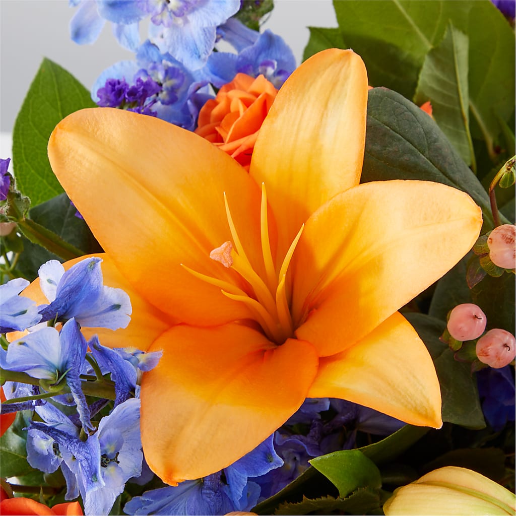 Radiant Citrus Box Bouquet – SHASTA DAISY'S FLORIST & BOUTIQUE, Mobile AL
