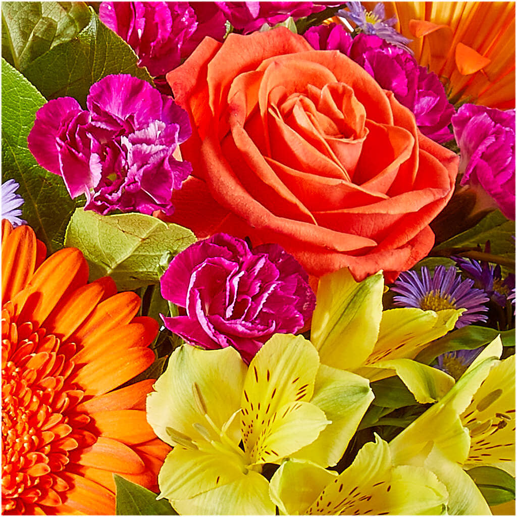 Tricks & Treats Pumpkin – SHASTA DAISY'S FLORIST & BOUTIQUE, Mobile AL
