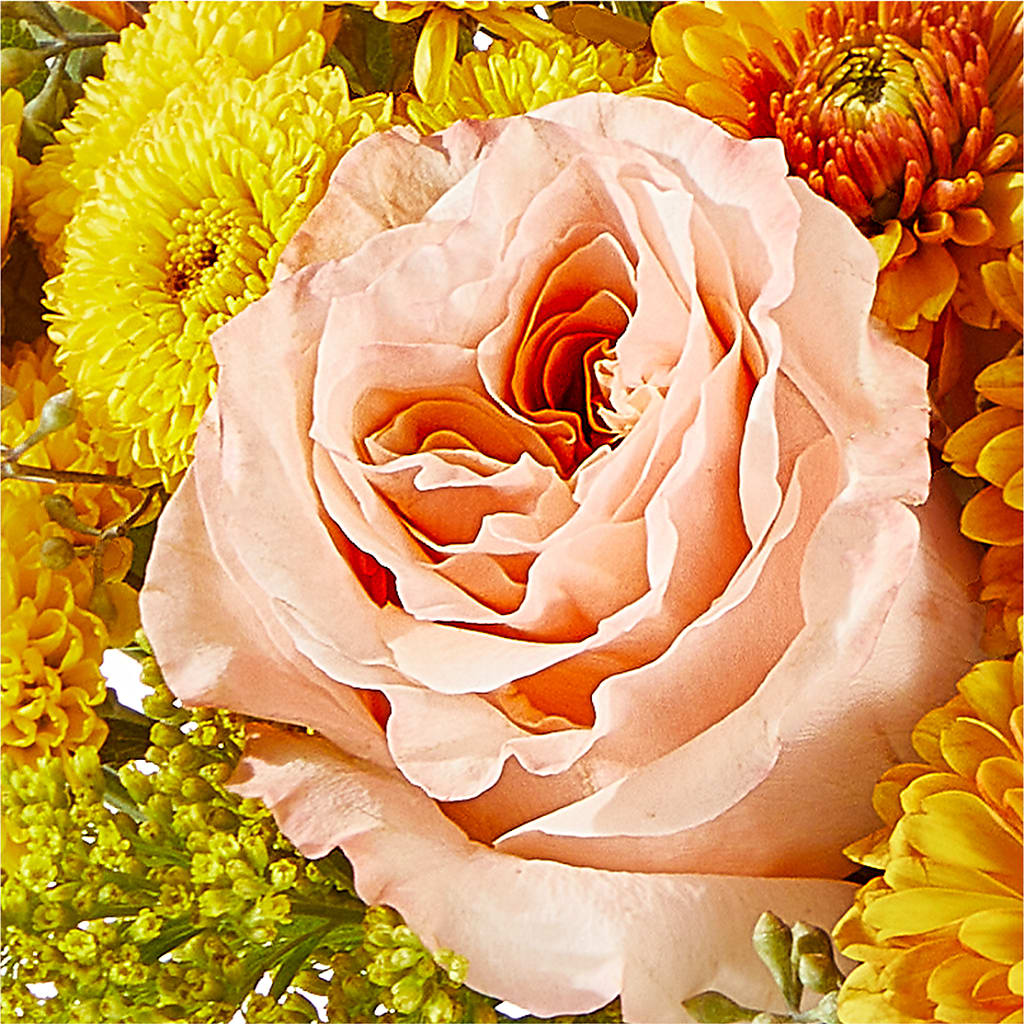 Peachy Pumpkin – SHASTA DAISY'S FLORIST & BOUTIQUE, Mobile AL