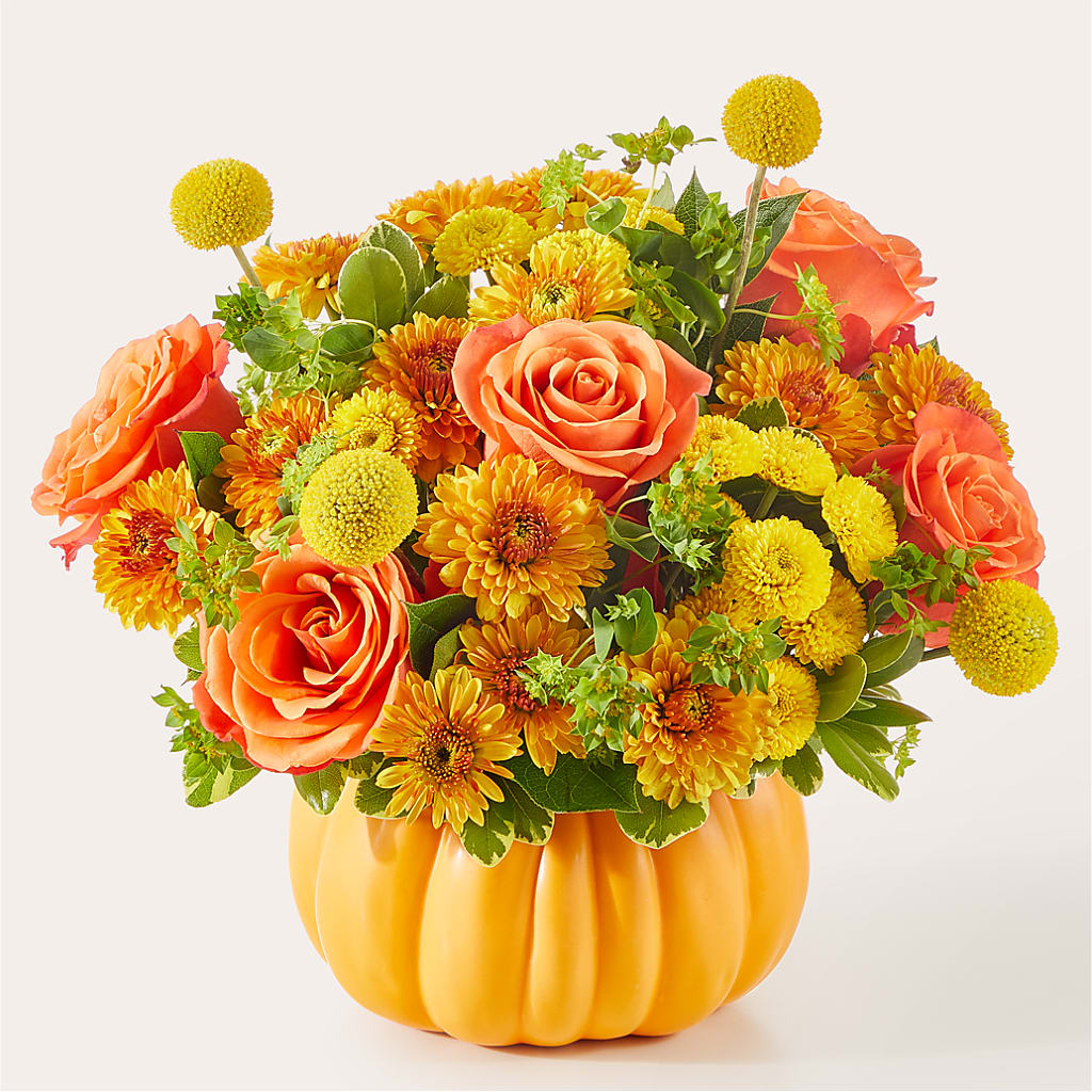 Gourdgeous Pumpkin – SHASTA DAISY'S FLORIST & BOUTIQUE, Mobile AL