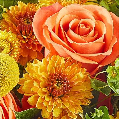 Gourdgeous Pumpkin – SHASTA DAISY'S FLORIST & BOUTIQUE, Mobile AL