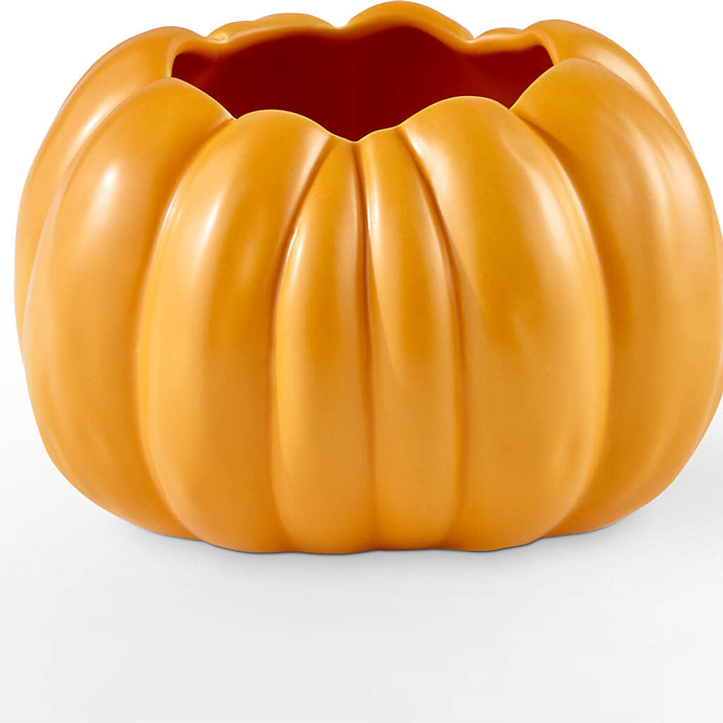 Golden Gourd Pumpkin Bouquet – SHASTA DAISY'S FLORIST & BOUTIQUE, Mobile AL