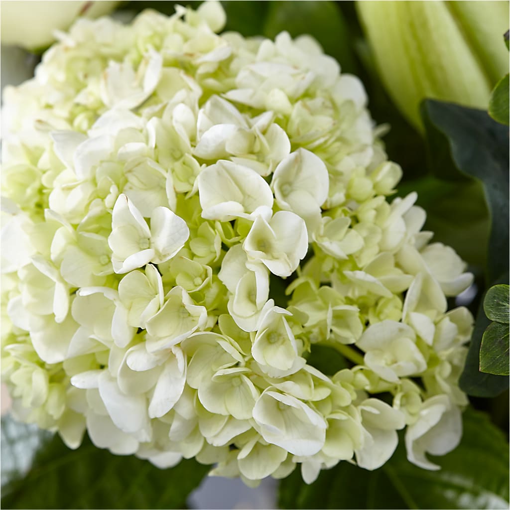 Classic Ivory – A Florist Original – SHASTA DAISY'S FLORIST & BOUTIQUE, Mobile AL