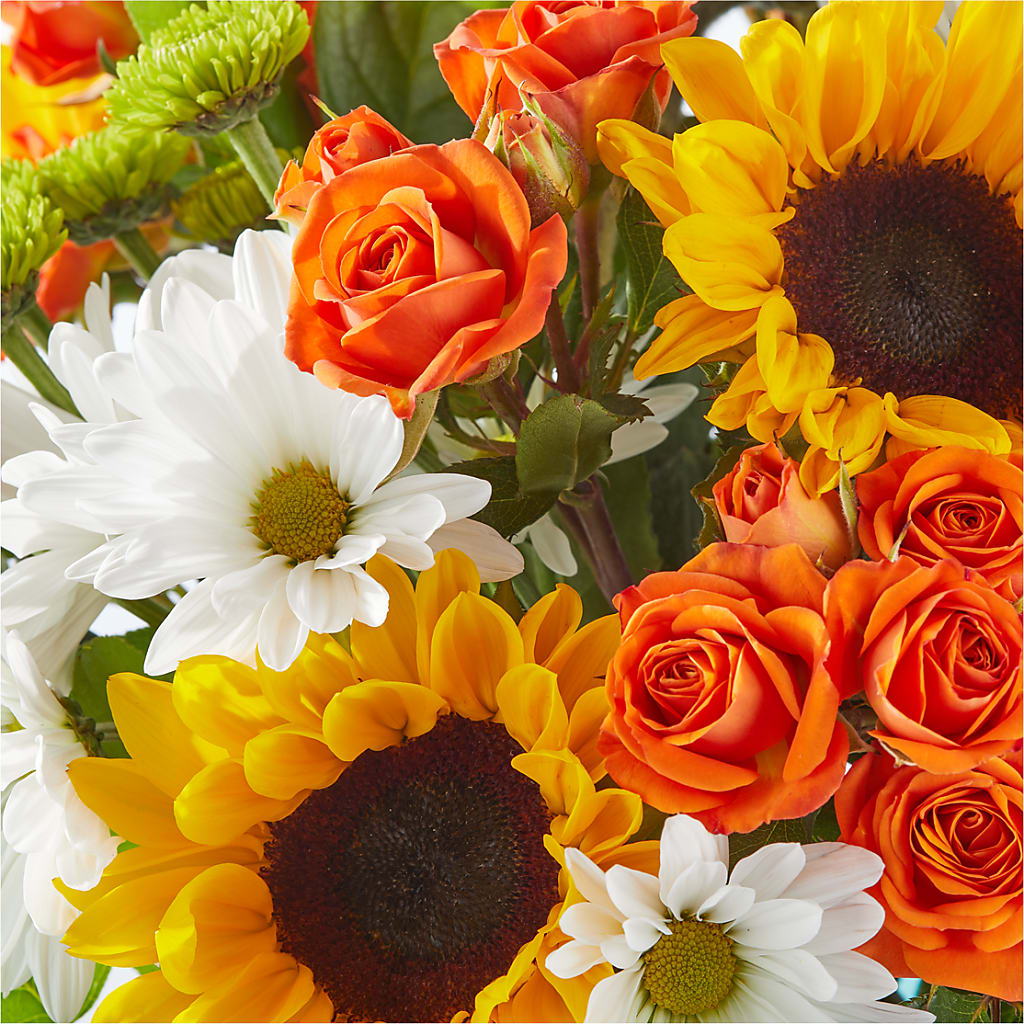 Sun-drenched Blooms Bouquet – SHASTA DAISY'S FLORIST & BOUTIQUE, Mobile AL