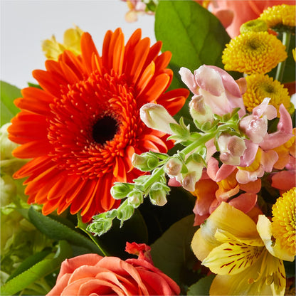Autumn Sunshine Bouquet – SHASTA DAISY'S FLORIST & BOUTIQUE, Mobile AL