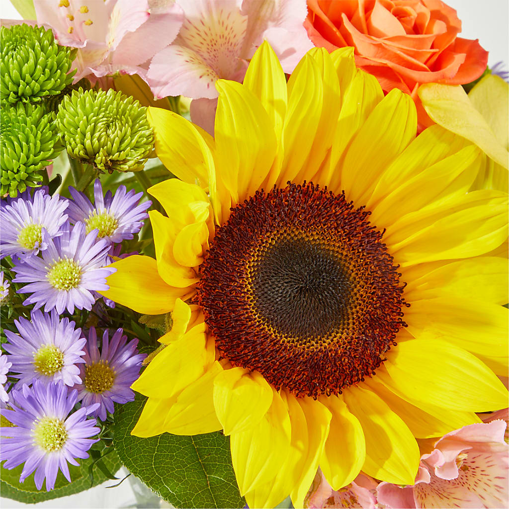 Basking in the Glow Bouquet – SHASTA DAISY'S FLORIST & BOUTIQUE, Mobile AL