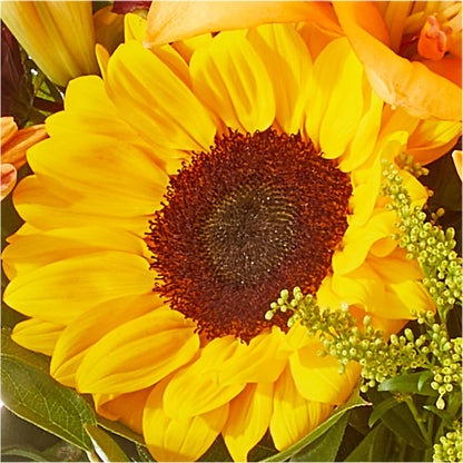 Seasons Change Bouquet – SHASTA DAISY'S FLORIST & BOUTIQUE, Mobile AL