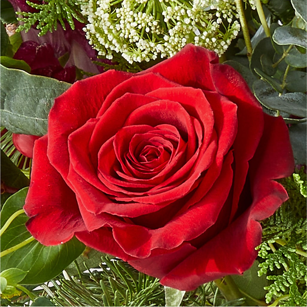 Cranberry Fizz Bouquet – SHASTA DAISY'S FLORIST & BOUTIQUE, Mobile AL
