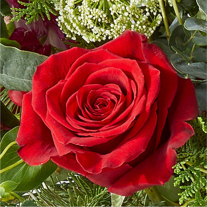 Cranberry Fizz Bouquet – SHASTA DAISY'S FLORIST & BOUTIQUE, Mobile AL