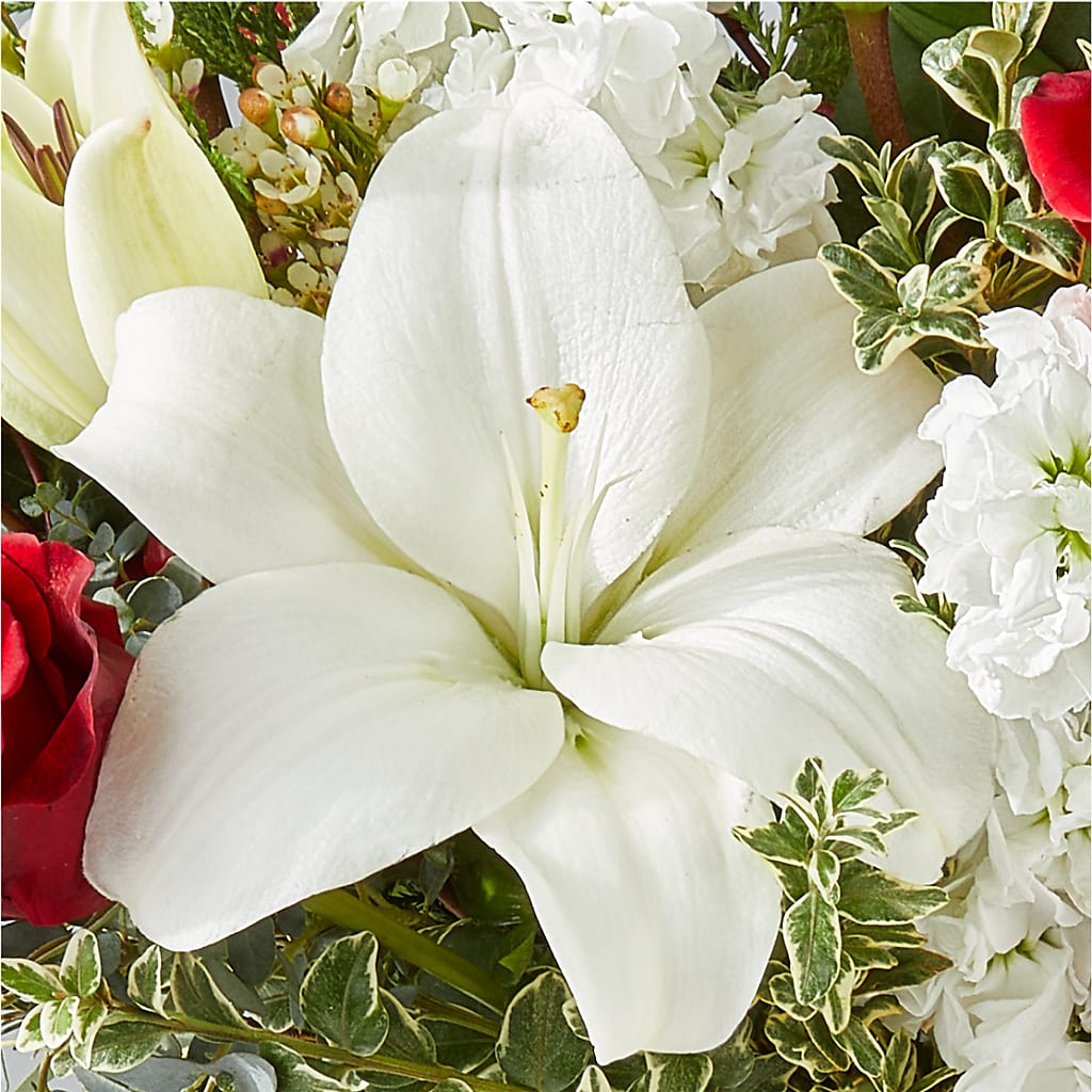 Twinkle Lights Bouquet – SHASTA DAISY'S FLORIST & BOUTIQUE, Mobile AL