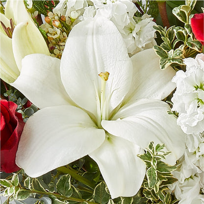 Twinkle Lights Bouquet – SHASTA DAISY'S FLORIST & BOUTIQUE, Mobile AL