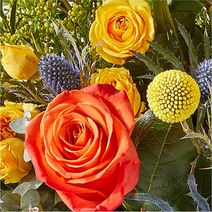Disco Bouquet – SHASTA DAISY'S FLORIST & BOUTIQUE, Mobile AL