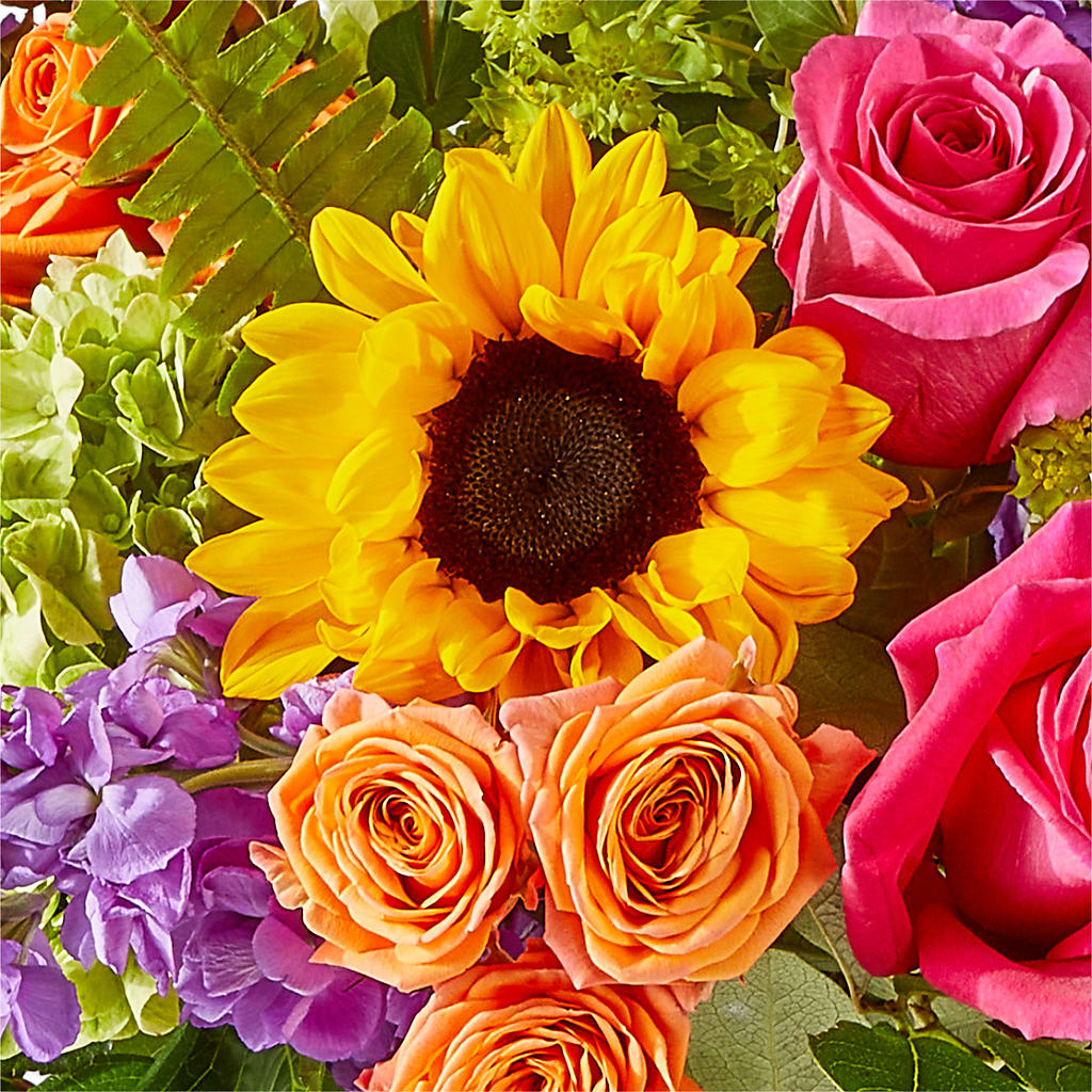 Vibrant Greetings Bouquet – SHASTA DAISY'S FLORIST & BOUTIQUE, Mobile AL