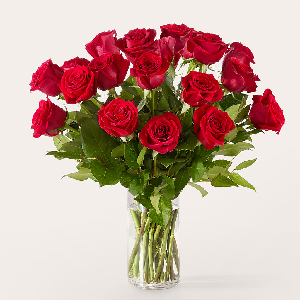 The One Red Rose Bouquet – SHASTA DAISY'S FLORIST & BOUTIQUE, Mobile AL