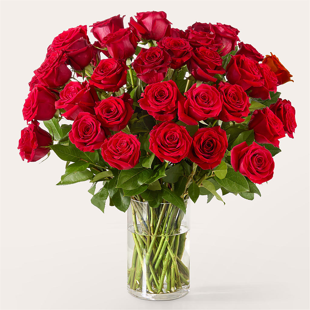 The One Red Rose Bouquet – SHASTA DAISY'S FLORIST & BOUTIQUE, Mobile AL