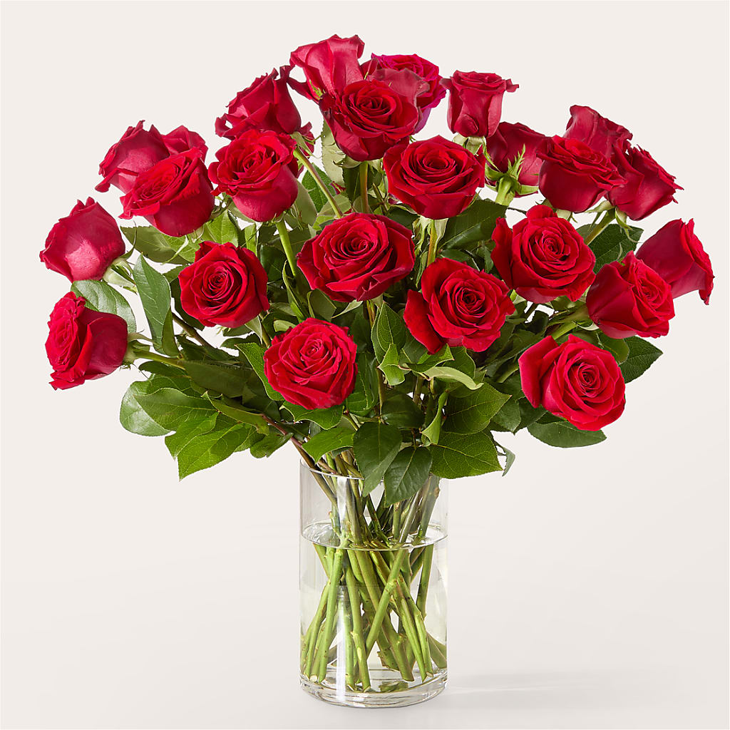 The One Red Rose Bouquet – SHASTA DAISY'S FLORIST & BOUTIQUE, Mobile AL
