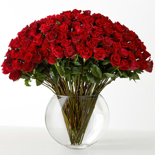 The Idealist – SHASTA DAISY'S FLORIST & BOUTIQUE, Mobile AL
