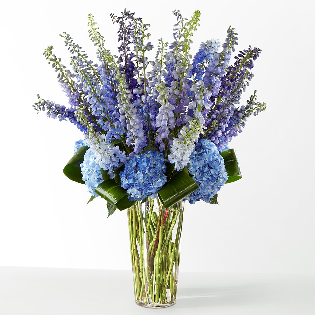 The Editorial – SHASTA DAISY'S FLORIST & BOUTIQUE, Mobile AL