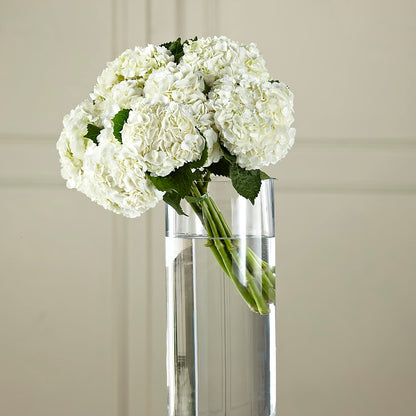 White Hydrangea Hand-Tied Bouquet – SHASTA DAISY'S FLORIST & BOUTIQUE, Mobile AL